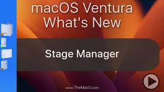 How to use Stage Manager to multi-task in macOS Ventura!