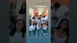 Meet the new members of the most famous tik tok house!