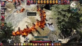 Divinity: Original Sin 2 - Школа Превращения и Школа Вызова