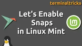 Lets Enable Snaps in Linux Mint 20