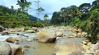 Rumbling River Sounds Through Rocky Mountain, White Noise For Sleep, Relaxing Nature Video. Focus