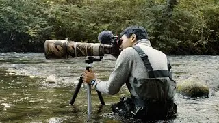 Inspiring Bird Photography and Conservation in BC