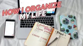 HOW I ORGANIZE MY LIFE | Reese Regan