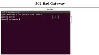 502 Bad Gateway CWP Panal