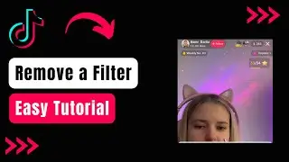 How To Remove Filter from TikTok Video !