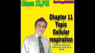 CELLULAR RESPIRATION (OVER VIEW) types , steps , fermentation,  lecture in urdu/hindi.