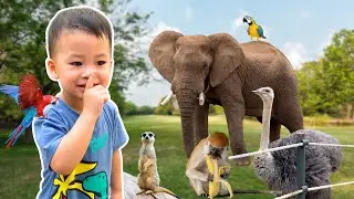 What does Hanoi Zoo have? Let's explore with Bon | Play with bon