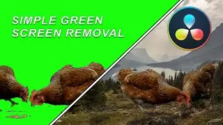 Easy Green Screen Removal in Davinci Resolve 16