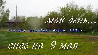 Мой день в деревне, погода, природа, белое на зеленом, весна 2024