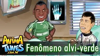 ANIMATUNES - Bobina - Fenômeno alvi-verde