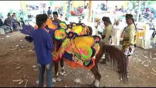 TAYUB KEMBAR 02 DRI BINTANG BUDAYA LIVE DI JABUN HJTY ARYO TUPAN