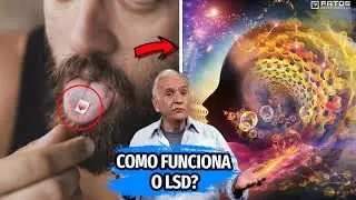 O que o LSD faz com seu corpo?