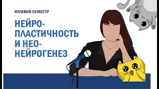 Нулевой семестр. 1.02. Нейропластичность и неонейрогенез