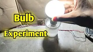 Glowing Bulb For Salt Water