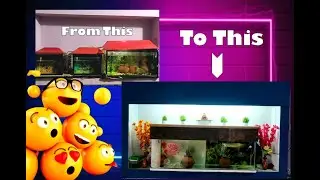 Aquarium | 4 feet new aquarium | From old setup to new setup