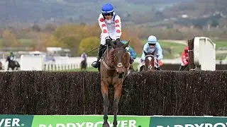 IL RIDOTO wins the 2024 Paddy Power Gold Cup under Freddie Gingell