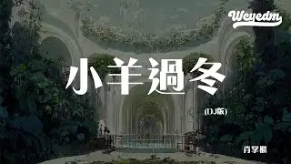 肖掌柜 - 小羊过冬DJ版「小羊起来问了妈妈 知道有些事情没有办法」