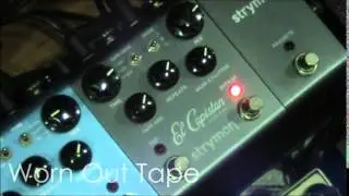 Tone Tips: Strymon El Capistan Sample Settings