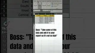 Excel tip to copy and paste pics