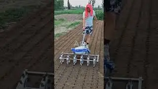 Amazing Manual Seeds Planter #shorts #Seeds #planter #seedsplanter #agriculture #farming #machinery