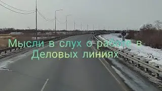 Монолог о работе в Деловых Линиях водителем- экспедитором категории Е. Заехал на шинку.