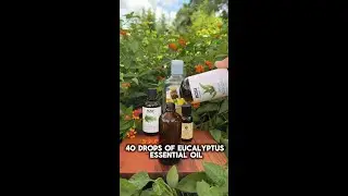 DIY Mosquito Repellent