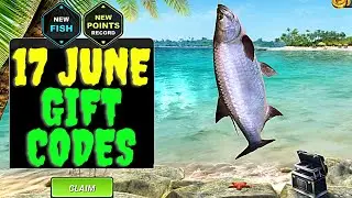 ALL NEW FISHING CLASH GIFT CODES 2021 - FISHING CLASH CODES 2021 - FISHING CLASH