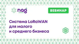 Система LoRaWAN для малого и среднего бизнеса