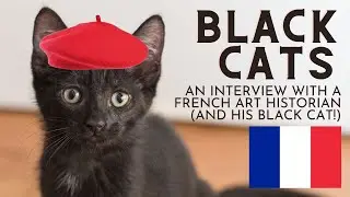 Black Cats in French Art & History - Interesting Interview in Paris!