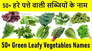 Green Leafy Vegetables Names |  Green Vegetables List | हरे पत्ते वाली सब्जियां सब्जियों के नाम