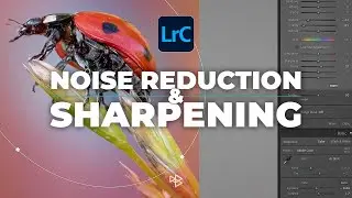 Noise Reduction and Sharpening When Editing Macro