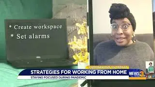 Strategies for working from home