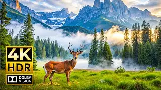 HIDDEN ANIMALS IN NATURE 4K HDR | with Captivating Cinematic Sound Symphony (Colorful Animal Life)