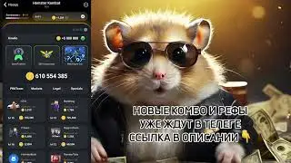 🚨 Новые комбо карты 4-5 июля 4.07 - Хамстер Комбат на сегодня | Hamster Kombat #hamsterkombat