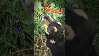 У каждого есть такой братишка, которому прощается все. 🤗 