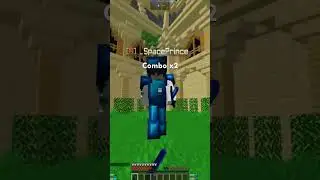 This combo was so clean #combo #minecraft