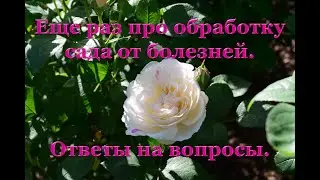 Еще раз про обработку сада от болезней.  Ответы на вопросы.