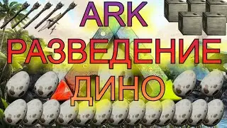 ARK РАЗВЕДЕНИЕ