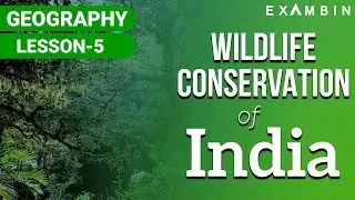 Wildlife conservation in india National Parks , Wildlife Sanctuary