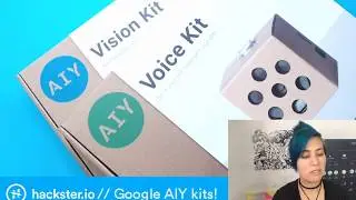 New Google AIY Kits!