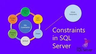 Check Constraint In Sql Server | Constraints In SQL Server | Check Constraint