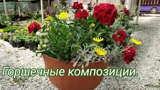 Композиции в кашпо, корзинах и напольных вазонах.