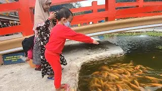 Gavin Beri makan ikan dan Makan Es Krim - Gavin Menangis Karena Jatuh