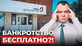 Как БЕСПЛАТНО ИЗБАВИТЬСЯ от долгов? Банкротство через МФЦ...