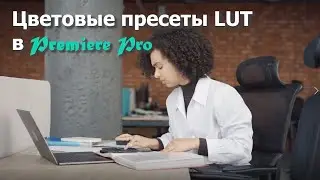 Цветовые пресеты LUT в Premiere Pro