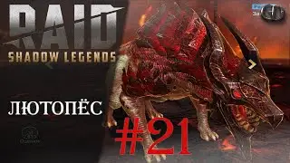 Raid SL Гайды #21 ► Лютопёс ► Лучший качер корма