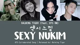 Balming Tiger (feat. RM of BTS) - 섹시느낌 (SEXY NUKIM) [LYRICS/가사/Line Distribution]