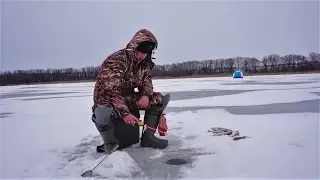 Игра Мормышкой дают результаты в Глухозимье. Трудовая рыбалка на Водохранилище. Зимняя рыбалка 2022.