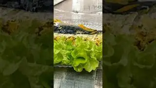 ПП-рецепт скумбрии:рыбка получается легка,не жирная,сочная 