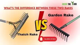 Find The Best One  Between Thatch Rake Vs Garden Rake